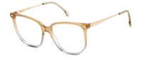 Gafas CARRERA 3025 690