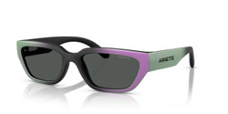 Gafas de sol Arnette Curbside AN4350 297687