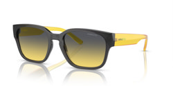 Gafas de sol Arnette Hamie AN4325 27862Q
