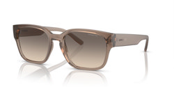 Gafas de sol Arnette Hamie AN4325 290613