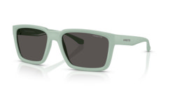 Gafas de sol Arnette Plot twist AN4346 296487