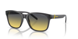 Gafas de sol Arnette Surry h AN4320 27862Q