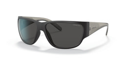 Gafas de sol Arnette Wolflight AN4280 272187