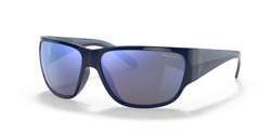 Gafas de sol Arnette Wolflight AN4280 274122