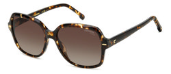Gafas de Sol Carrera CARRERA 3028/S WR9