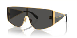 Gafas de sol Dolce E Gabanna DG2305 02/87