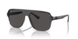 Gafas de sol Dolce E Gabanna DG6134 325787