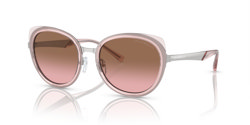 Gafas de sol Emporio Armani EA2146 336414