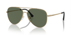 Gafas de sol Emporio Armani EA2149D 300271
