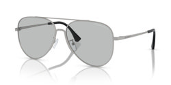 Gafas de sol Emporio Armani EA2149D 304587
