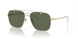 Gafas de sol Emporio Armani EA2150 301371