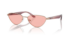 Gafas de sol Emporio Armani EA2153 3011/5