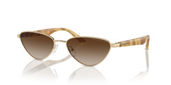 Gafas de sol Emporio Armani EA2153 301313