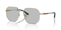 Gafas de sol Emporio Armani EA2154D 300287