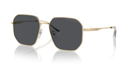 Gafas de sol Emporio Armani EA2154D 301387
