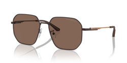 Gafas de sol Emporio Armani EA2154D 320173