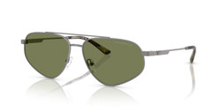 Gafas de sol Emporio Armani EA2156 30032A