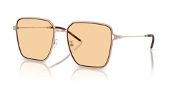 Gafas de sol Emporio Armani EA2159D 3011/7