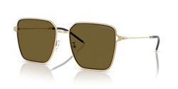 Gafas de sol Emporio Armani EA2159D 301373