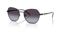 Gafas de sol Emporio Armani EA2161 30018G