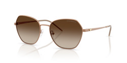 Gafas de sol Emporio Armani EA2161 340013
