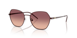 Gafas de sol Emporio Armani EA2161 34018D