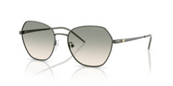 Gafas de sol Emporio Armani EA2161 34022C