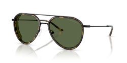 Gafas de sol Emporio Armani EA2163 300171