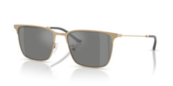 Gafas de sol Emporio Armani EA2164D 30026G
