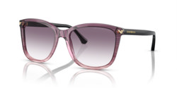 Gafas de sol Emporio Armani EA4060 59668H