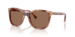 Gafas de sol Emporio Armani EA4060 619673