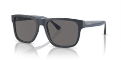 Gafas de sol Emporio Armani EA4163 508881