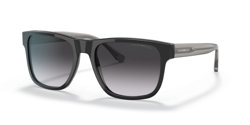 Gafas de sol Emporio Armani EA4163 58758G