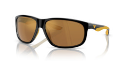Gafas de sol Emporio Armani EA4199U 50176H