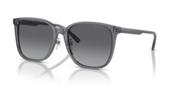 Gafas de sol Emporio Armani EA4206D 5029T3