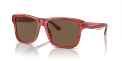 Gafas de sol Emporio Armani EA4208 605373