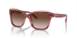 Gafas de sol Emporio Armani EA4209 605713