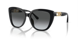 Gafas de sol Emporio Armani EA4214U 50178G