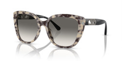 Gafas de sol Emporio Armani EA4214U 605811