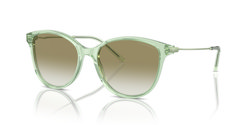 Gafas de sol Emporio Armani EA4220 61078E