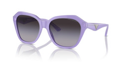 Gafas de sol Emporio Armani EA4221 61178G