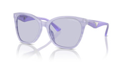 Gafas de sol Emporio Armani EA4222U 61131A