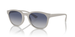Gafas de sol Emporio Armani EA4225U 610087