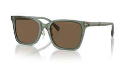 Gafas de sol Emporio Armani EA4226D 536273