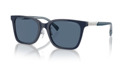 Gafas de sol Emporio Armani EA4226D 603980