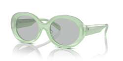 Gafas de sol Emporio Armani EA4231U 615487