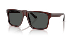 Gafas de sol Emporio Armani EA4232 617487