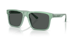 Gafas de sol Emporio Armani EA4232 617687
