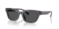 Gafas de sol Emporio Armani EA4233U 610687