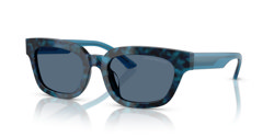 Gafas de sol Emporio Armani EA4233U 618080